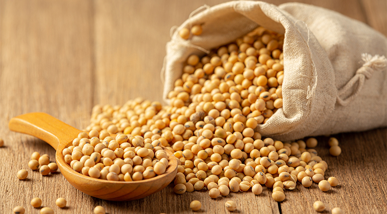 Expectativas Altas Soja