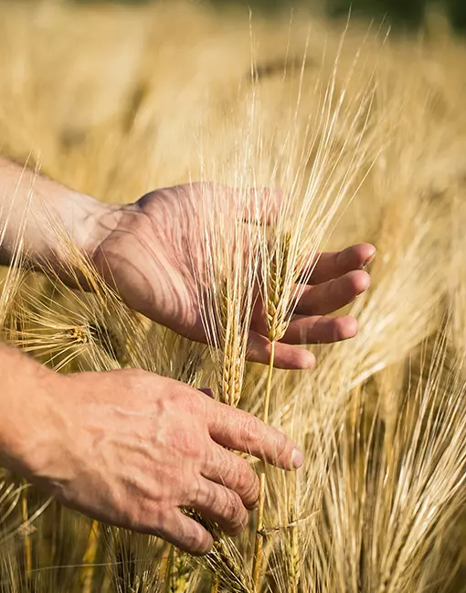Conheça a Agritol Peças Agrícolas